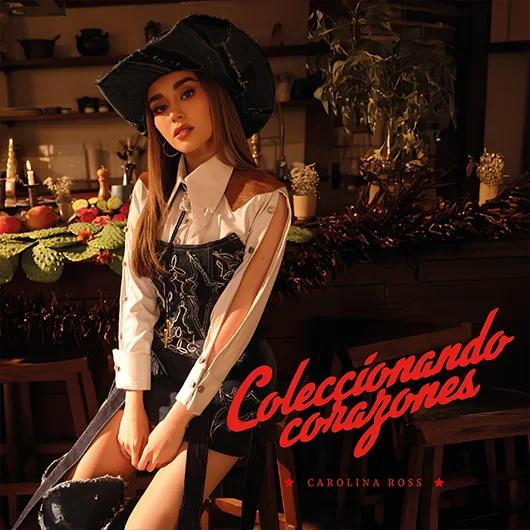Portada de Coleccionando Corazones